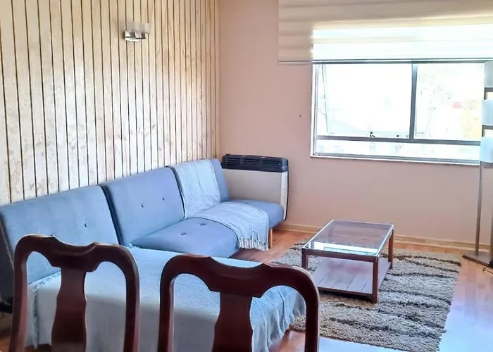 Departamento En Pelluco Puerto Montt